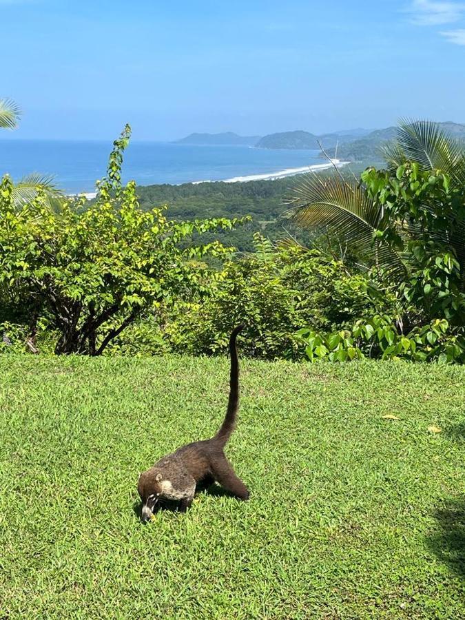 Sweet Jungle Beach Playa Bejuco  Extérieur photo